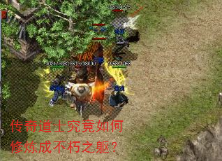 ʿɲ֮
