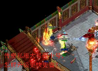˽ŴСţʡ
