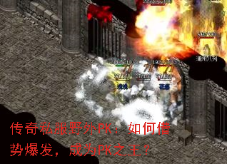 ˽ҰPKνƱΪPK֮