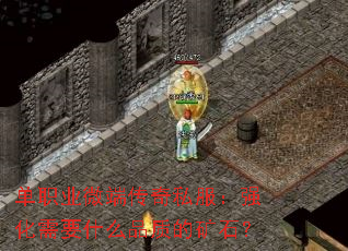 ְҵ΢˴˽ǿҪʲôƷʵĿʯ