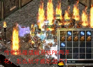 ˽ɾϵͳPKô