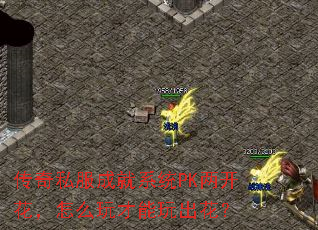 ˽ɾϵͳPKô