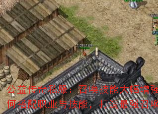 洫˽ٻܴǿδְҵ뼼ܣǿٻ
