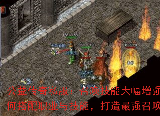 洫˽ٻܴǿδְҵ뼼ܣǿٻ