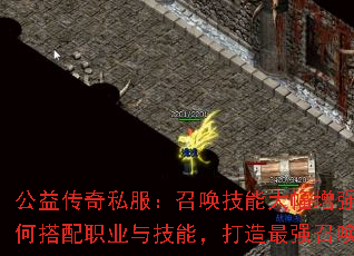 洫˽ٻܴǿδְҵ뼼ܣǿٻ