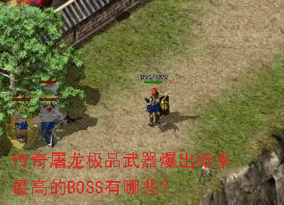 ƷߵBOSSЩ