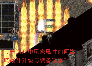 ϷӰսװѡ
