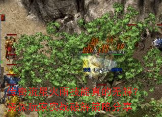 ǻ꼼޽⣿ʵսƽԷ