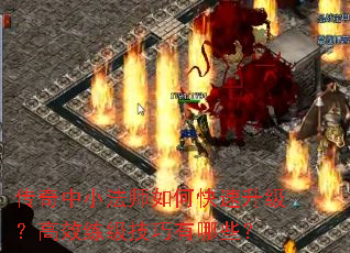 СʦοЧЩ