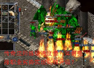 淨ʦٶο˷ְҵʵָЧ