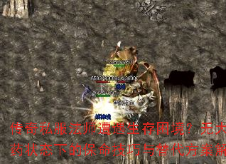 ˽ʦ޴ҩ״̬µı