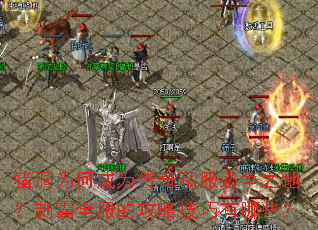 ΪγΪ˽֮أưȫĹԼЩ