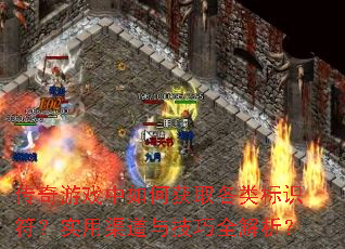 Ϸλȡʶʵ뼼ȫ