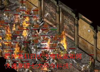 ҰΣķοߴ񼼣