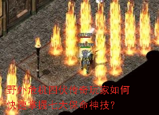 ҰΣķοߴ񼼣