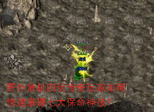 ҰΣķοߴ񼼣