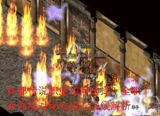 Ŷ˵ְҵѡȫְҵǿȶԱ·߽