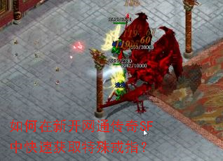 ������¿���ͨ����SF�п��ٻ�ȡ�����ָ��