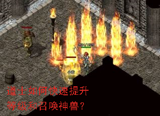 道士如何快速提升等级和召唤神兽? 道士如何快速提升等级和召唤神兽?