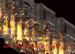 如何从初级快速升级到死亡棺材? 如何从初级快速升级到死亡棺材?