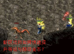新区法师如何快速提升等级与赚取金币? 新区法师如何快速提升等级与赚取金币?
