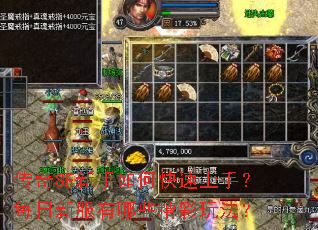 传奇SF新手如何快速上手?每日新服有哪些精彩玩法? 传奇SF新手如何快速上手?每日新服有哪些精彩玩法?