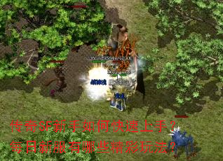 传奇SF新手如何快速上手?每日新服有哪些精彩玩法? 传奇SF新手如何快速上手?每日新服有哪些精彩玩法?