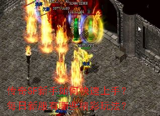 传奇SF新手如何快速上手?每日新服有哪些精彩玩法? 传奇SF新手如何快速上手?每日新服有哪些精彩玩法?