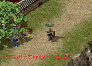 传奇奶妈玩家如何战胜PK型法师? 传奇奶妈玩家如何战胜PK型法师?