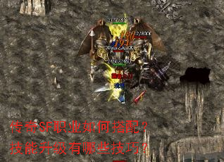 传奇SF职业如何搭配?技能升级有哪些技巧? 传奇SF职业如何搭配?技能升级有哪些技巧?
