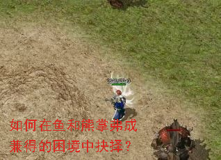 如何在鱼和熊掌弗成兼得的困境中抉择? 如何在鱼和熊掌弗成兼得的困境中抉择?