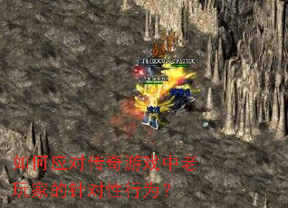 ���Ӧ�Դ�����Ϸ������ҵ��������Ϊ��