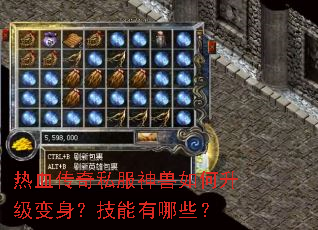 ��Ѫ����˽���������������������������Щ��