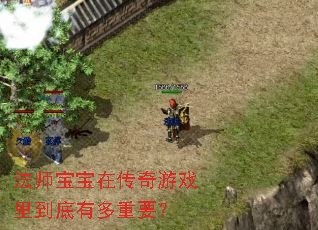 ��ʦ�����ڴ�����Ϸ�ﵽ���ж���Ҫ��