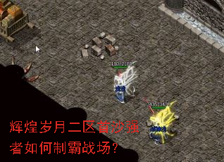 辉煌岁月二区首沙强者如何制霸战场? 辉煌岁月二区首沙强者如何制霸战场?