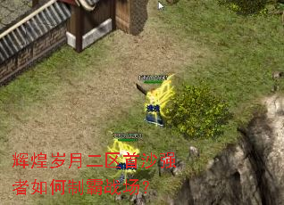 辉煌岁月二区首沙强者如何制霸战场? 辉煌岁月二区首沙强者如何制霸战场?