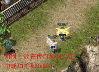 ��β����ڴ���˽���ϻ��гɹ�����BOSS��