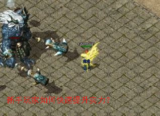 ���������ο�������ʵ����