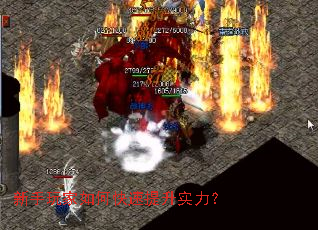 ���������ο�������ʵ����