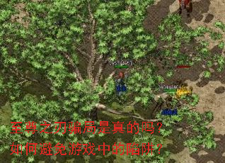 ����֮��ƭ�����������α�����Ϸ�е����壿