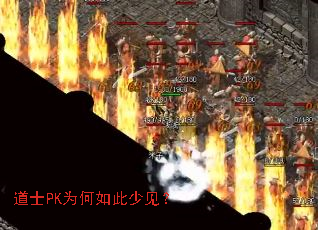 道士PK为何如此少见? 道士PK为何如此少见?