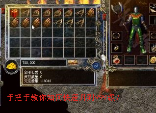 �ְ��ֽ�����ο�������999����