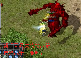 新手玩轻变传奇应该选择战士职业吗? 新手玩轻变传奇应该选择战士职业吗?