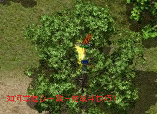 ���������һ������ս�����ɣ�