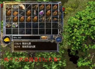 新手玩家须留意哪些方面? 新手玩家须留意哪些方面?