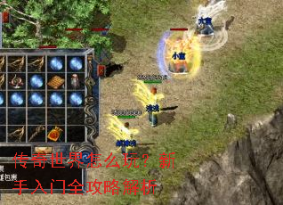 传奇世界怎么玩?新手入门全攻略解析 传奇世界怎么玩?新手入门全攻略解析