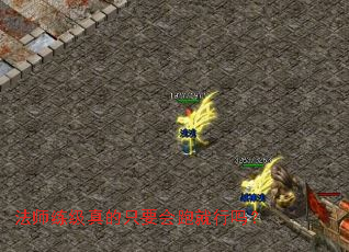 ��ʦ�������ֻҪ���ܾ�����