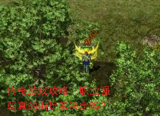 ������Ϸ���ԣ�ְҵǿ���������Ҿ�����