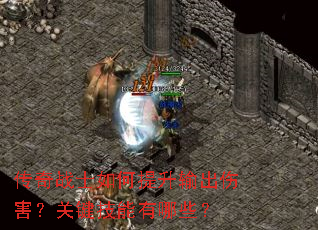 传奇战士如何提升输出伤害?关键技能有哪些? 传奇战士如何提升输出伤害?关键技能有哪些?