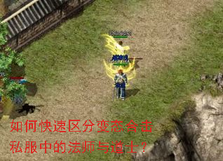 ��ο������ֱ�̬�ϻ�˽���еķ�ʦ���ʿ��